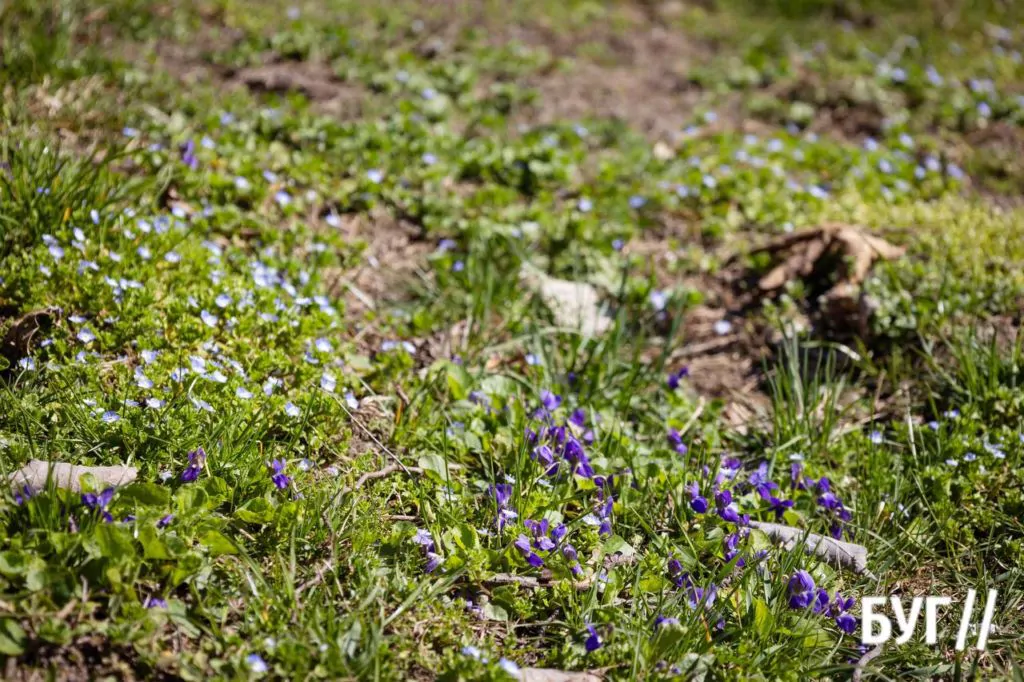Місто буденне: квітневий Нововолинськ у сонячну пору 10