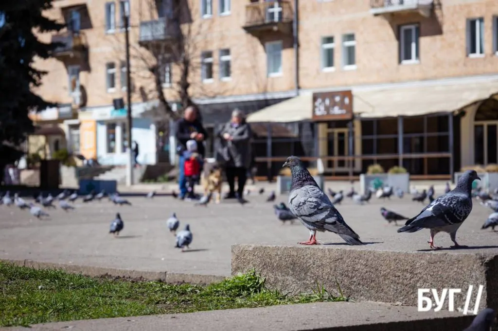 Місто буденне: квітневий Нововолинськ у сонячну пору 12