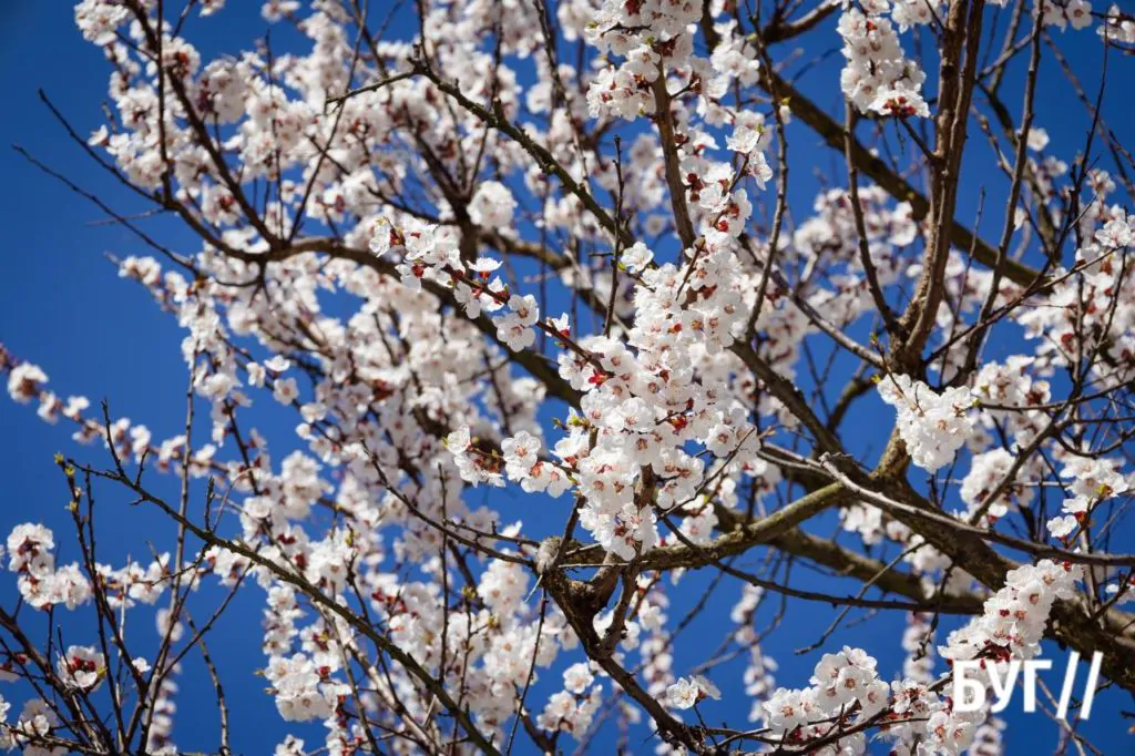 Місто буденне: квітневий Нововолинськ у сонячну пору 17