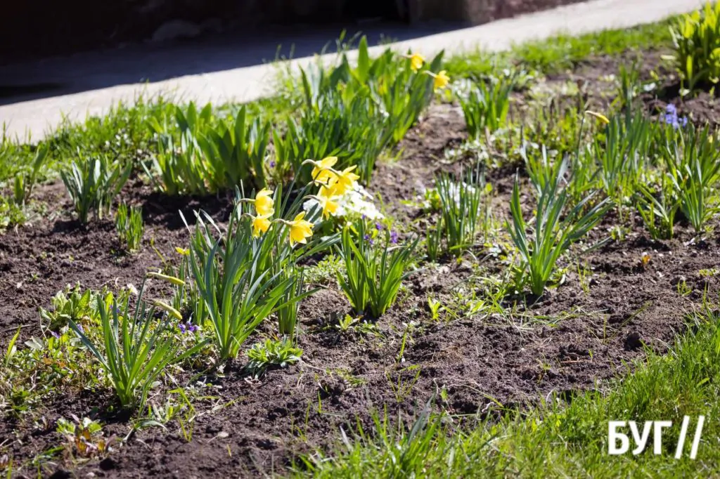 Місто буденне: квітневий Нововолинськ у сонячну пору 29