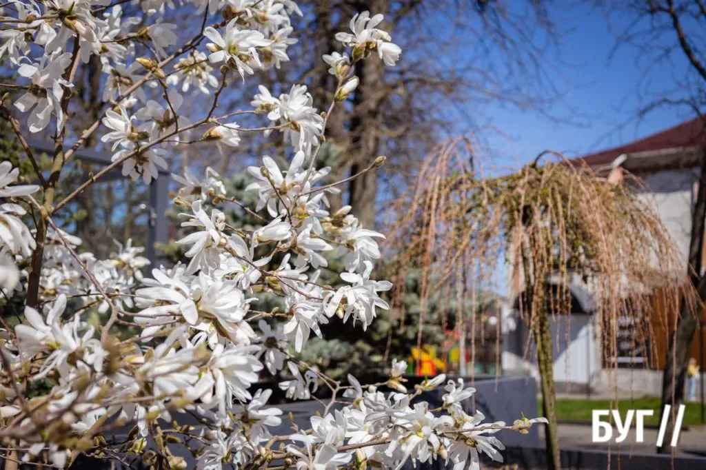 Місто буденне: квітневий Нововолинськ у сонячну пору 26