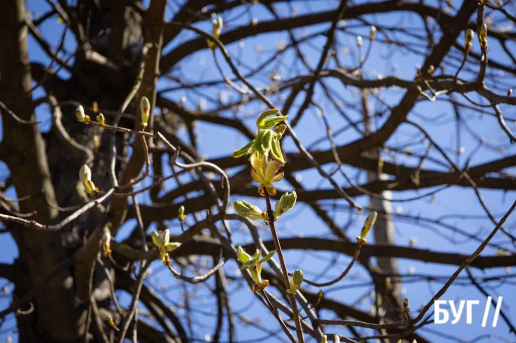 Місто буденне: квітневий Нововолинськ у сонячну пору 21