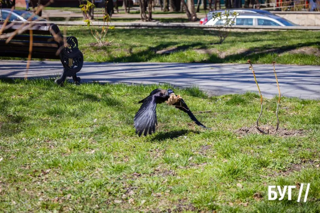Місто буденне: квітневий Нововолинськ у сонячну пору 11