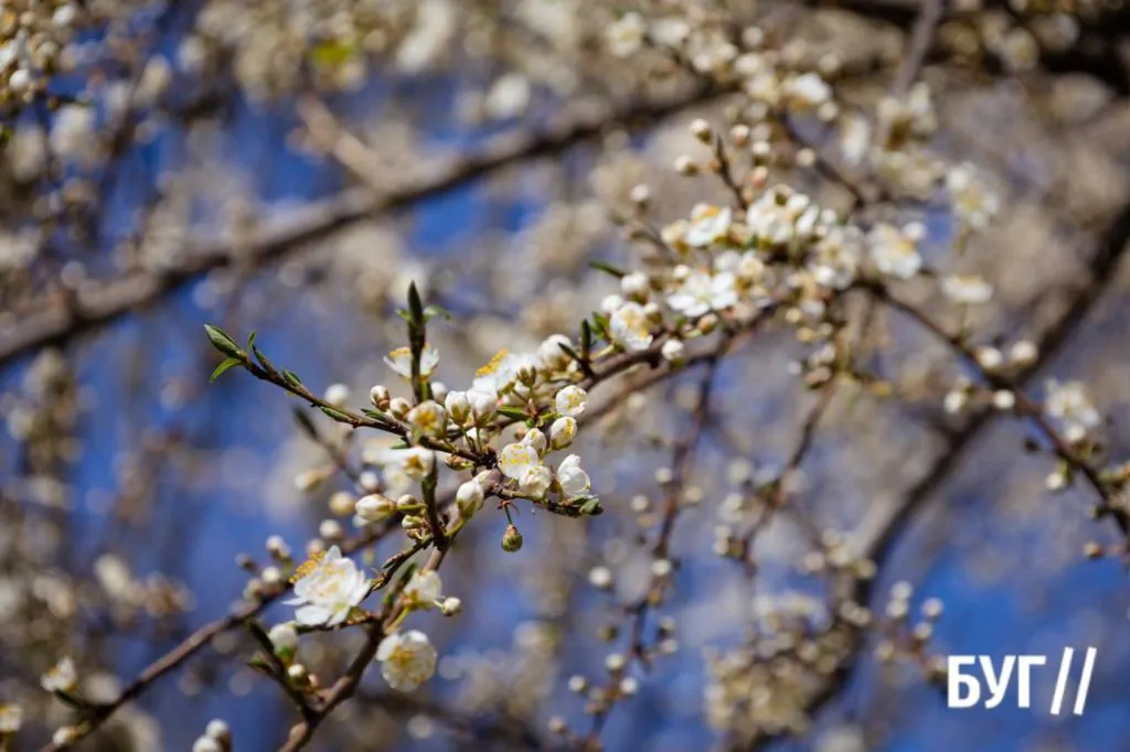 Місто буденне: квітневий Нововолинськ у сонячну пору 7