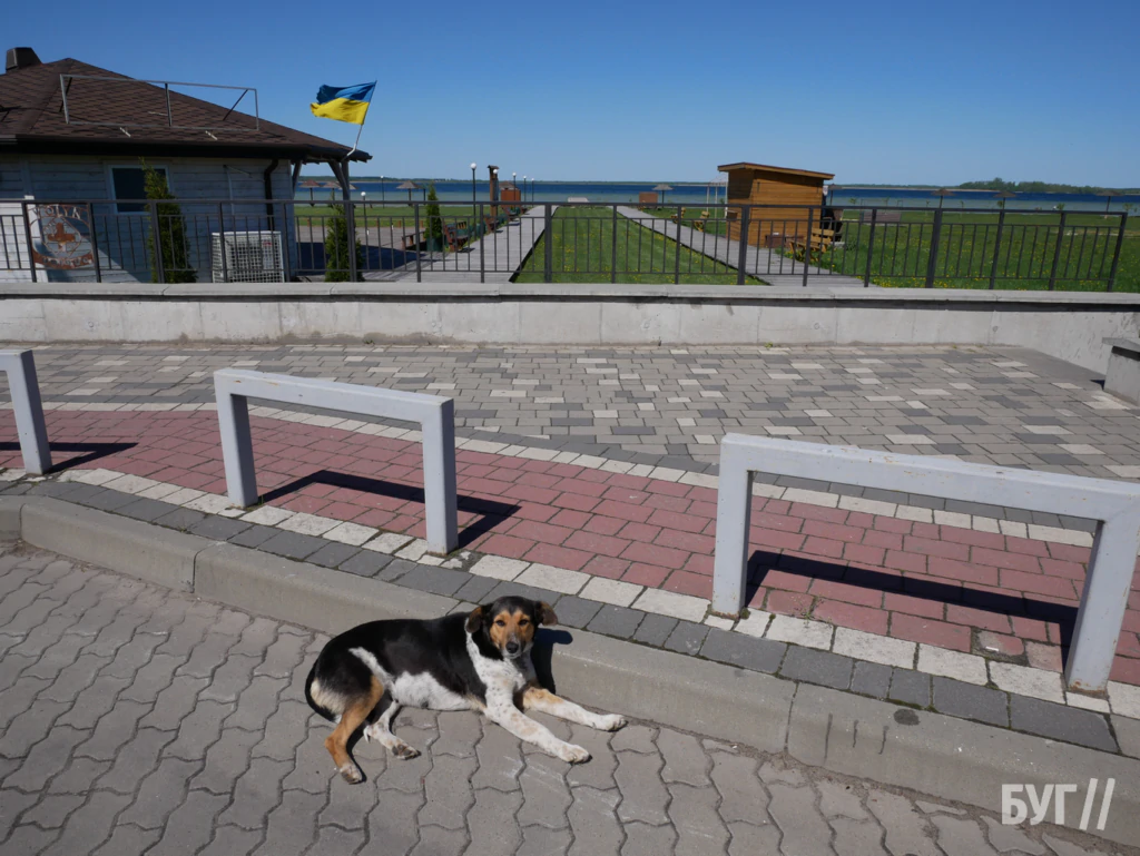 Місто буденне: вітер, велосипеди і качки - як живе Шацький край без туристів 14