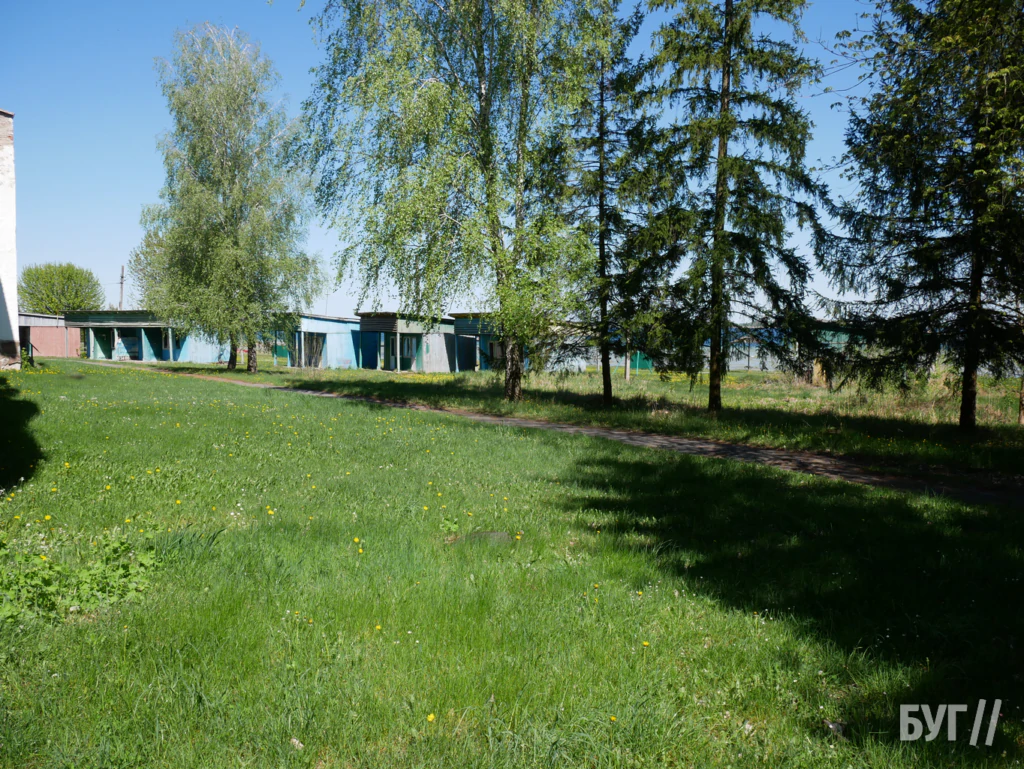 Місто буденне: вітер, велосипеди і качки - як живе Шацький край без туристів 17