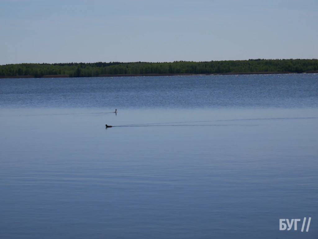 Місто буденне: вітер, велосипеди і качки - як живе Шацький край без туристів 27