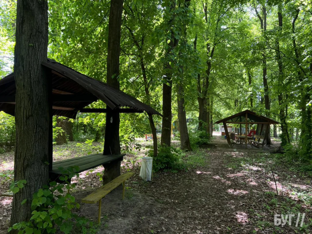 Шашлик, мангал і запах диму: топ-5 місць для відпочинку на природі у Володимирі, Нововолинську та Іваничах 16