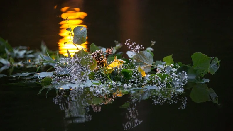 Чи існує квітка папороті: історія свята Івана Купала 4