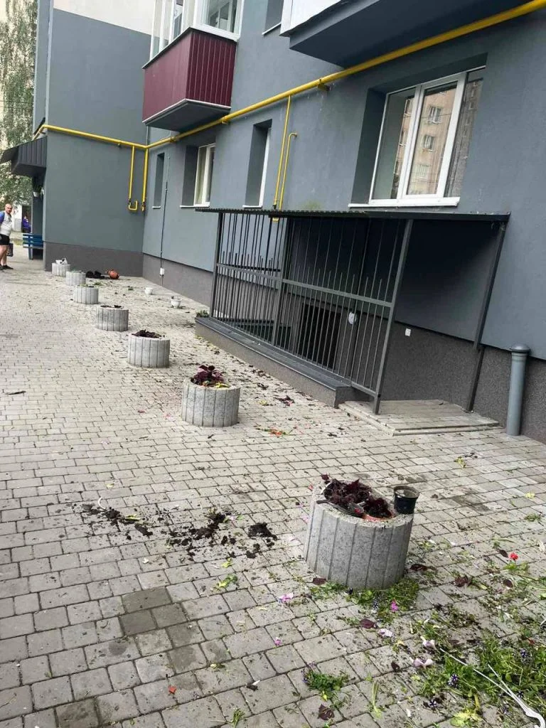 «Рембо проти вазонів»: у Володимирі чоловік з мотокосою влаштував квіткову зачистку у дворі багатоповерхівки (відео). 1