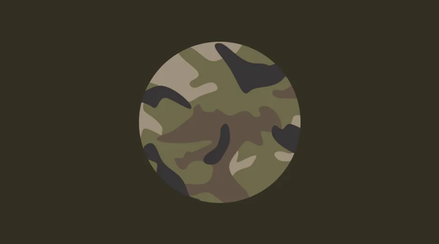 У ЗСУ замінять «піксель» на камуфляж іншого зразка 2