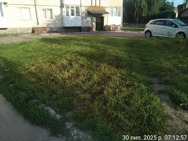 Паркування з порушеннями: муніципальна варта інформує про ситуацію у Володимирі 13