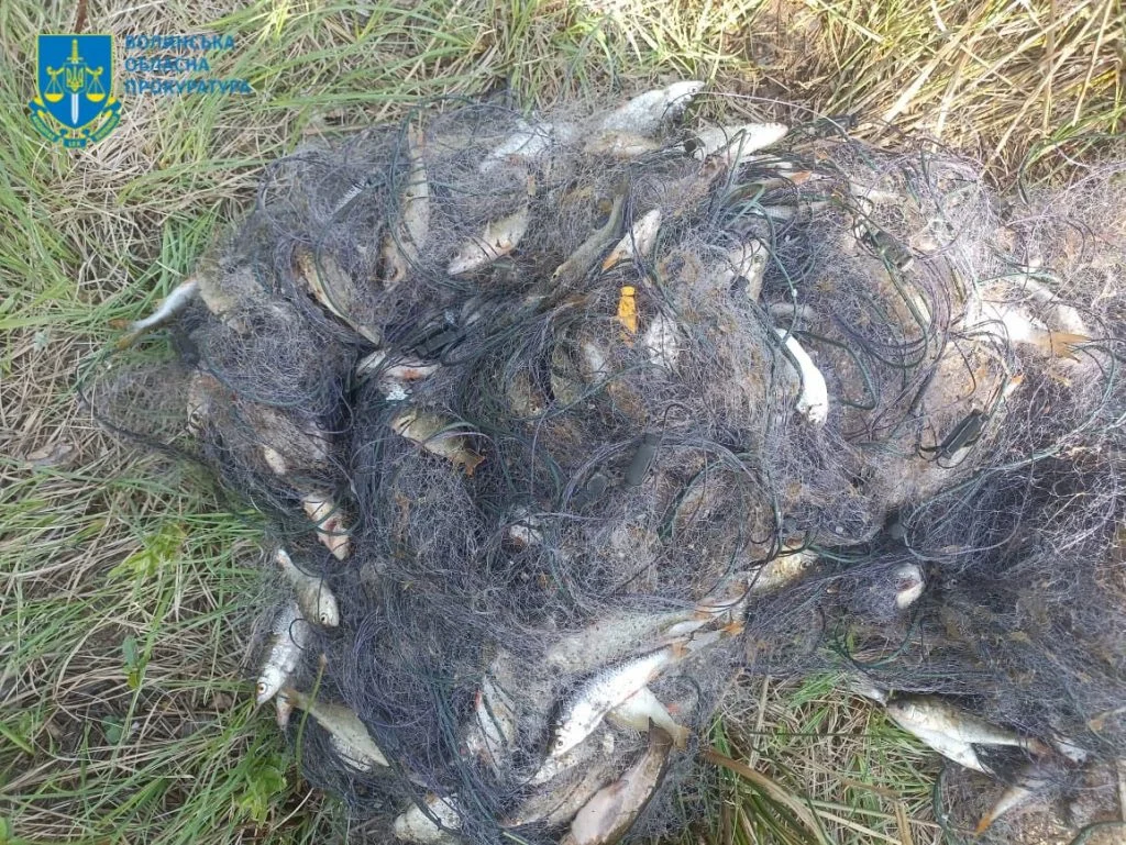 Наловив риби на понад пів мільйона гривень: волинянину оголосили підозру 1