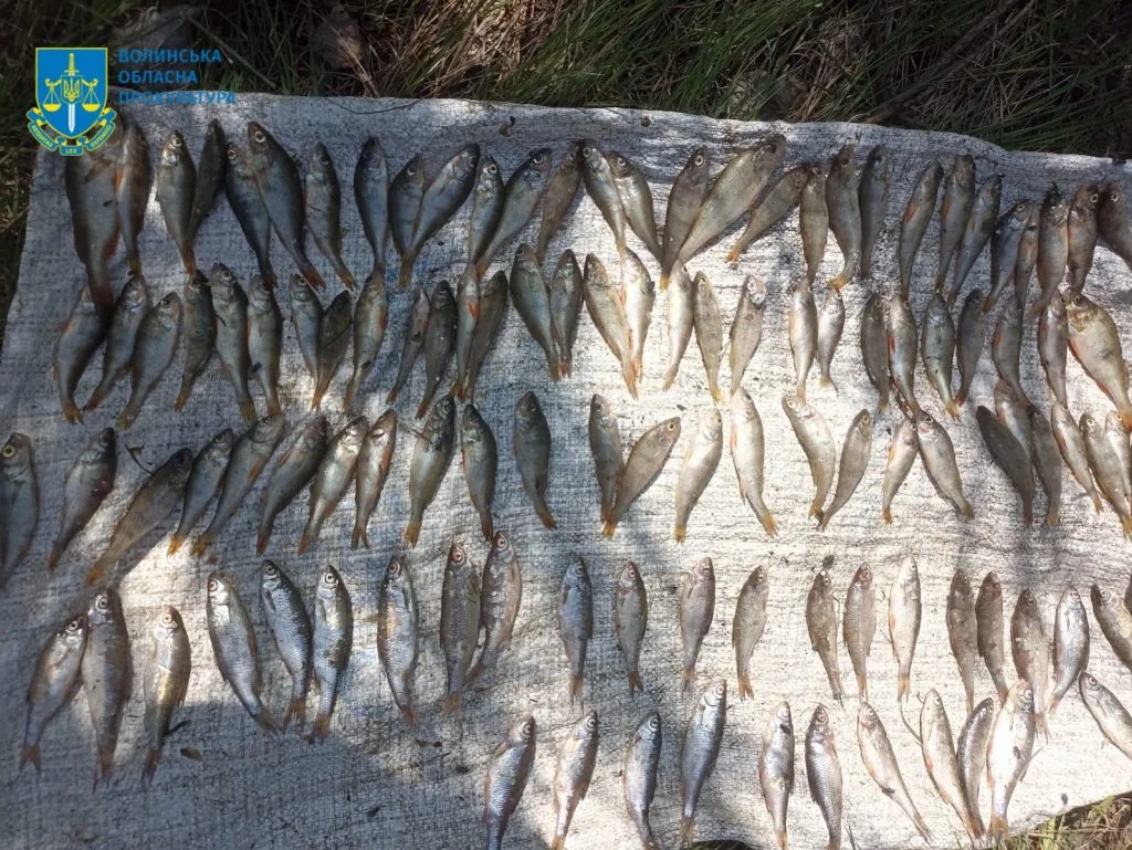 Наловив риби на понад пів мільйона гривень: волинянину оголосили підозру 2