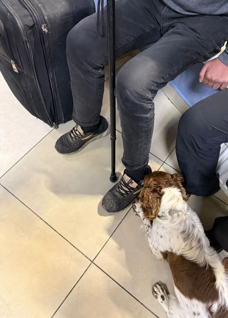 На Ягодині у взутті пасажира автобуса знайшли марихуану 2