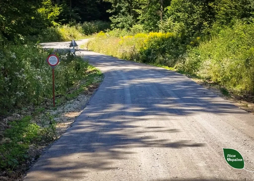 Волинь увійшла до списку лідерів з будівництва лісових доріг 2