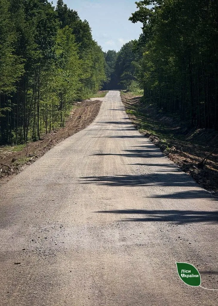 Волинь увійшла до списку лідерів з будівництва лісових доріг 3