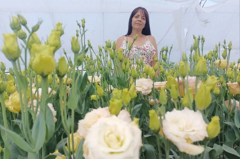 Ягоди, помідори, теплиці з квітами і гектари зернових: як господарює родина фермерів з Нововолинської громади 6