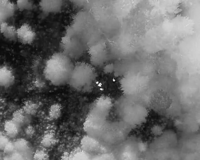 Прикордонники затримали волинянина на Рівненщині, якого вистежив дрон 2