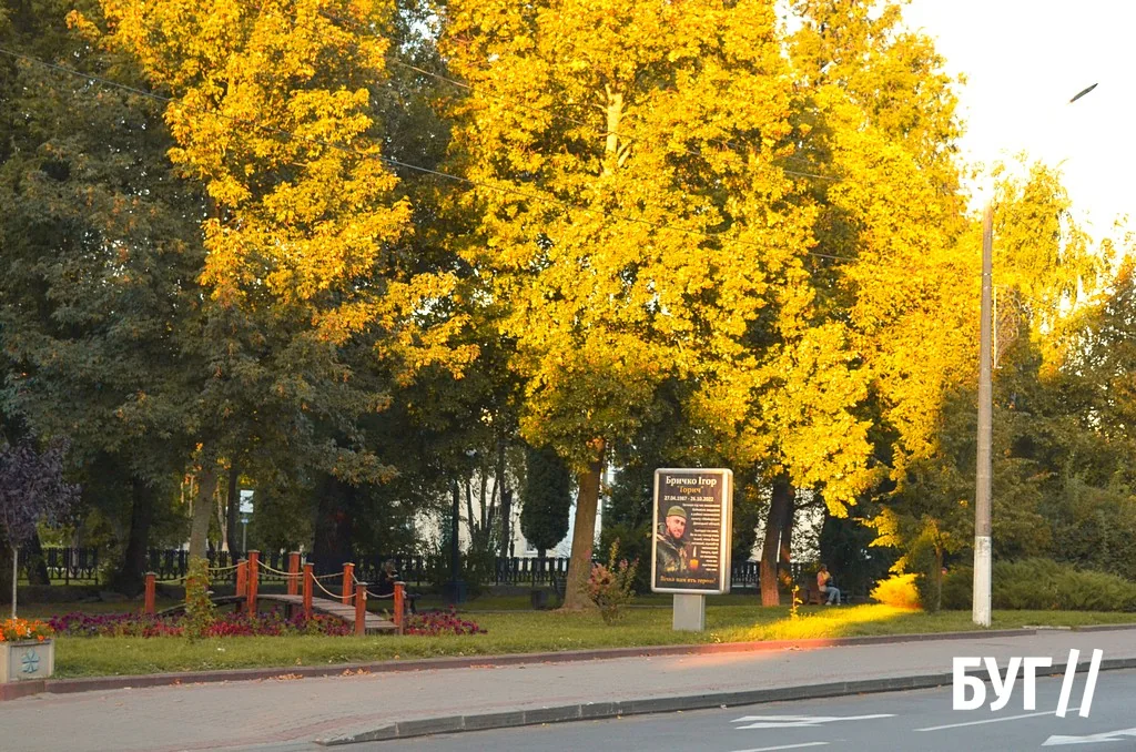 Місто буденне: осіннє сонце Нововолинська, котики й листя на тротуарах 14