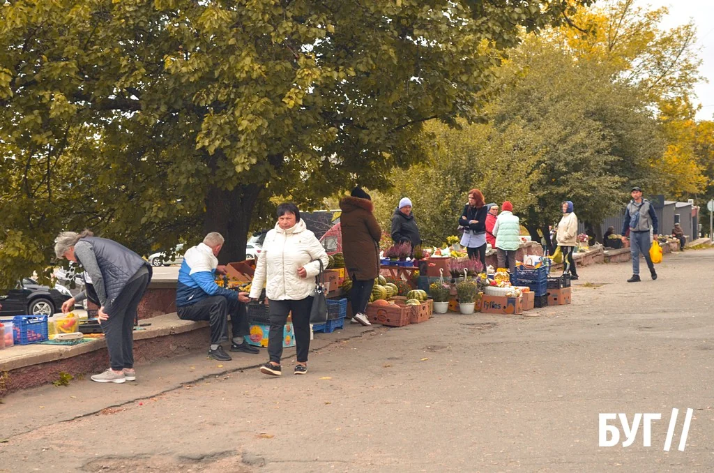 Місто буденне: осіннє сонце Нововолинська, котики й листя на тротуарах 15
