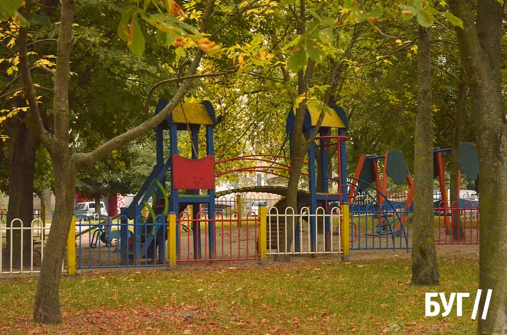 Місто буденне: осіннє сонце Нововолинська, котики й листя на тротуарах 11