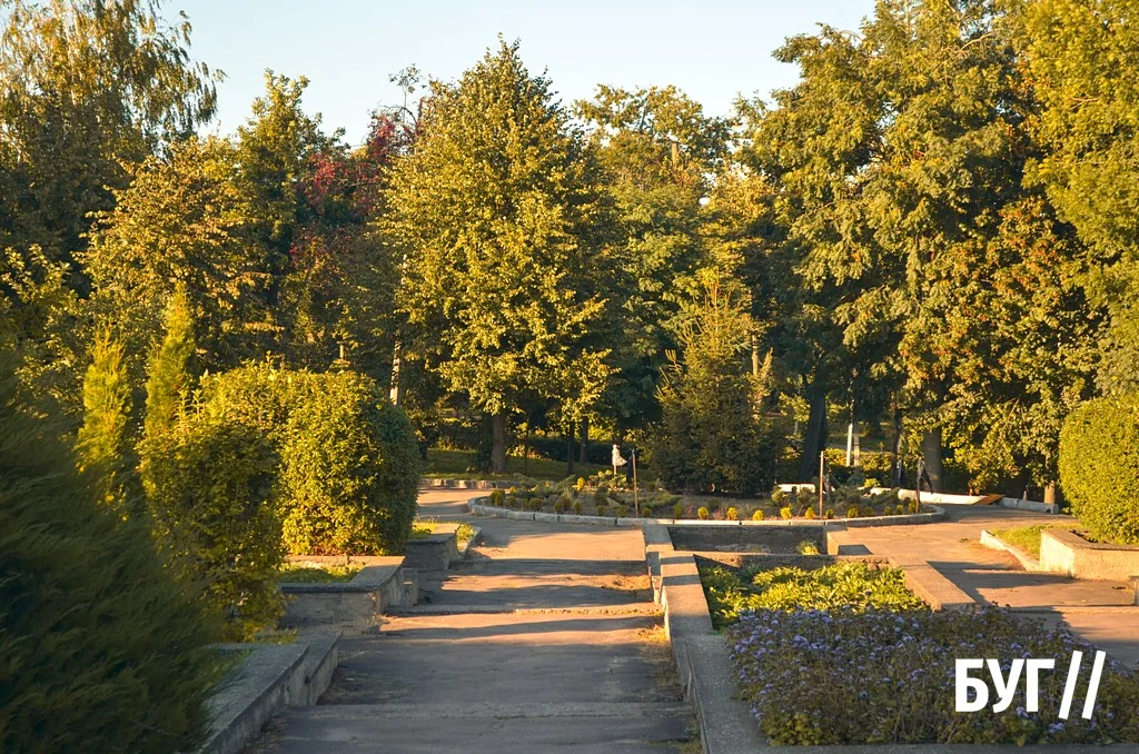 Місто буденне: осіннє сонце Нововолинська, котики й листя на тротуарах 4