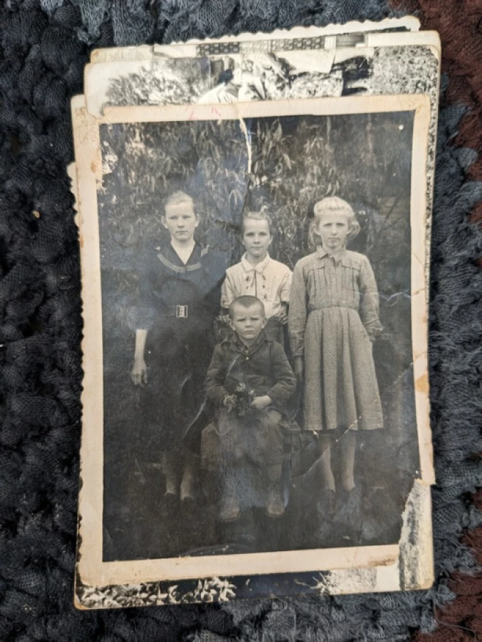 Замлиння на Любомльщині: як живе село, де час зупинився серед рудих котів і квітів в вазах 4