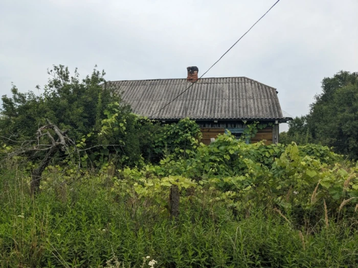 Замлиння на Любомльщині: як живе село, де час зупинився серед рудих котів і квітів в вазах 6