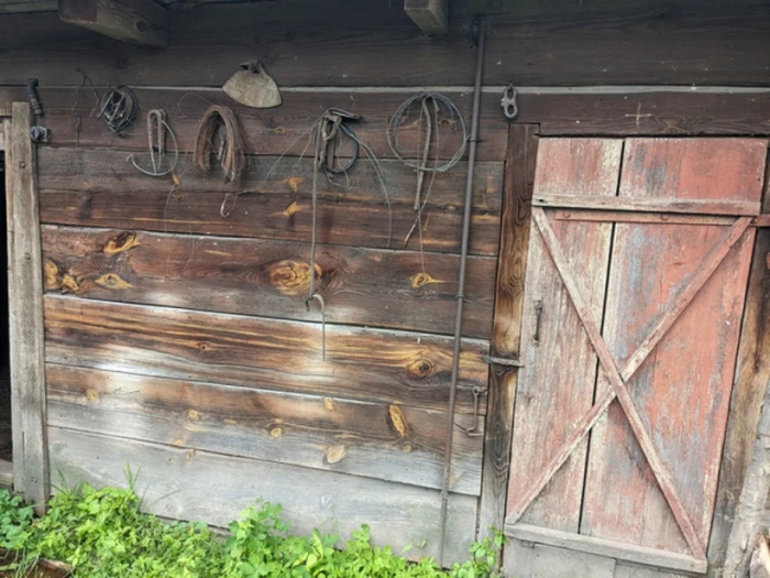 Замлиння на Любомльщині: як живе село, де час зупинився серед рудих котів і квітів в вазах 11