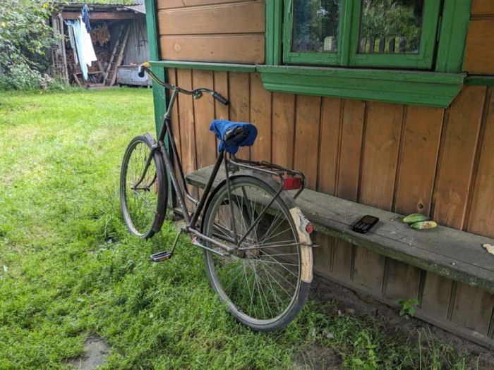 Замлиння на Любомльщині: як живе село, де час зупинився серед рудих котів і квітів в вазах 9