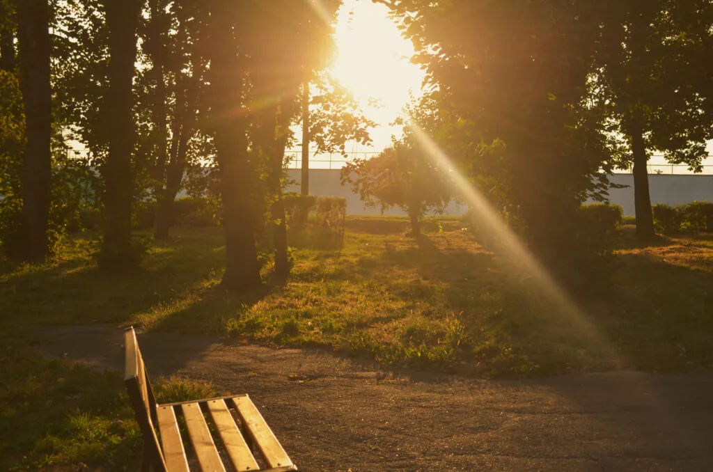 Місто буденне: Нововолинськ у ритмі прохолодних вечорів 6
