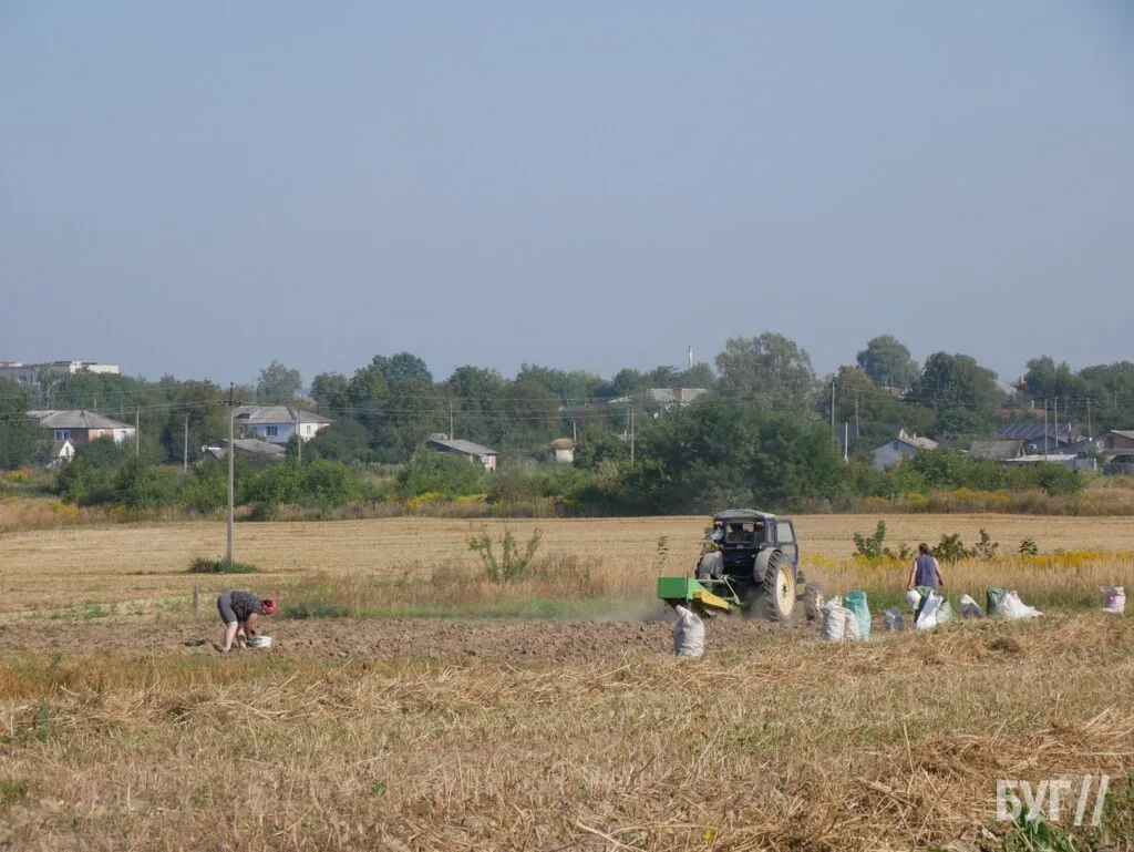Місто буденне: початок осені у Володимирі - діти йдуть до школи, дорослі працюють, а тварини рятуються від спеки 2