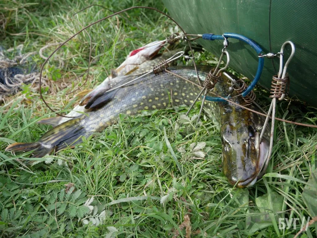 У Березовичах відбувся ІІ благодійний турнір зі спінінгового лову пам’яті Сергія «Адвоката» Лященка на підтримку ЗСУ 24