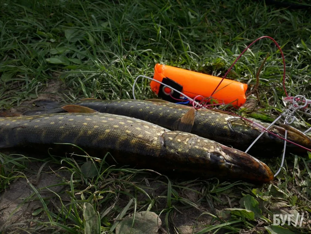 У Березовичах відбувся ІІ благодійний турнір зі спінінгового лову пам’яті Сергія «Адвоката» Лященка на підтримку ЗСУ 27