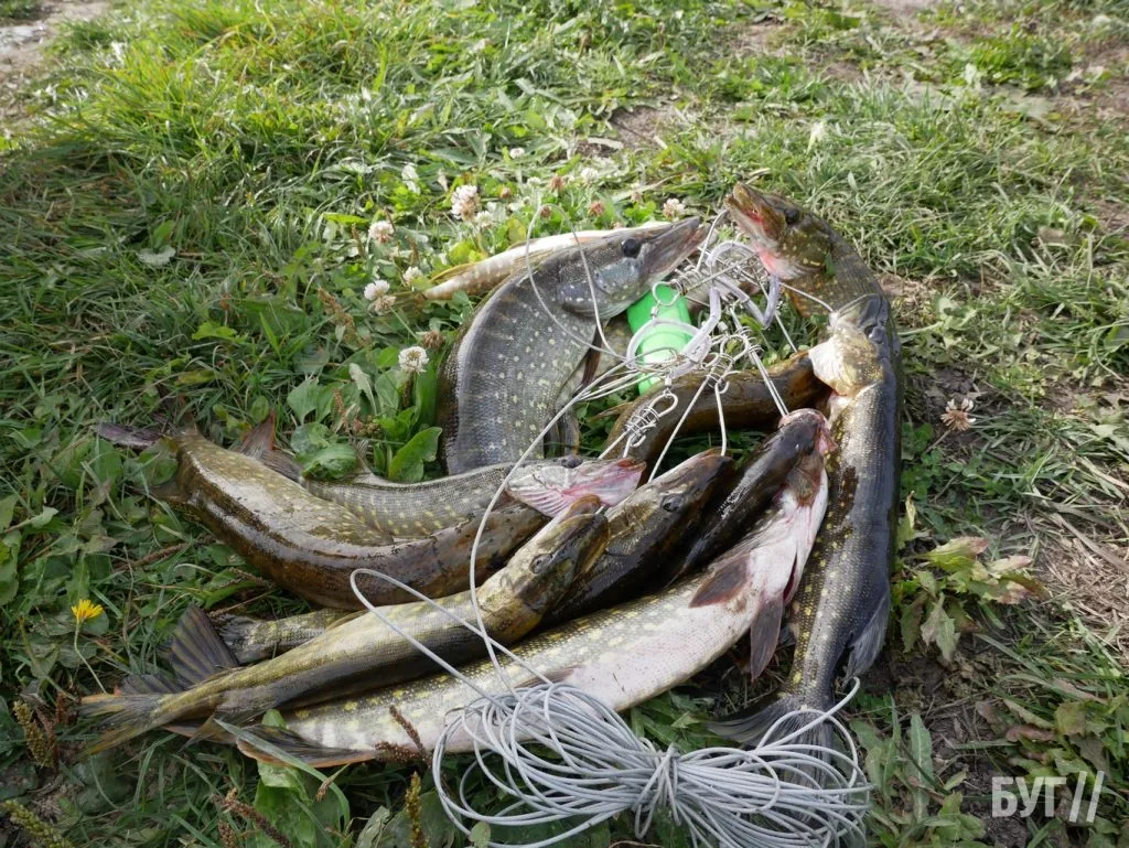 У Березовичах відбувся ІІ благодійний турнір зі спінінгового лову пам’яті Сергія «Адвоката» Лященка на підтримку ЗСУ 28