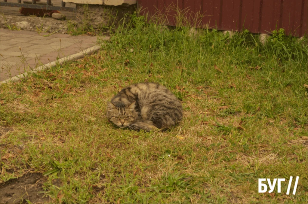 Місто буденне: Нововолинськ у ритмі прохолодних вечорів 12