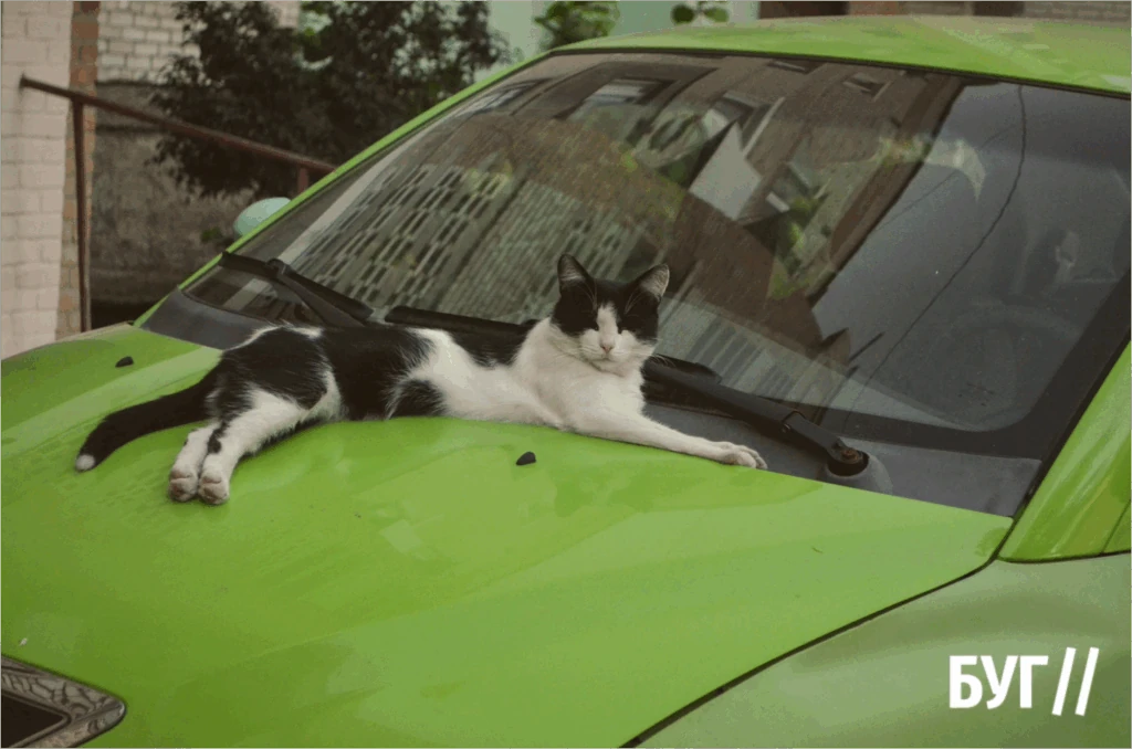 Місто буденне: Нововолинськ у ритмі прохолодних вечорів 8