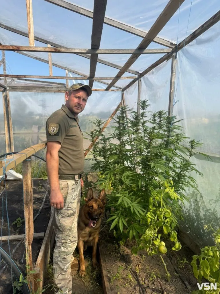 По гарячих слідах бандита, наркоканал та іржаві «сюрпризи»: робота К-9 на Волині 5