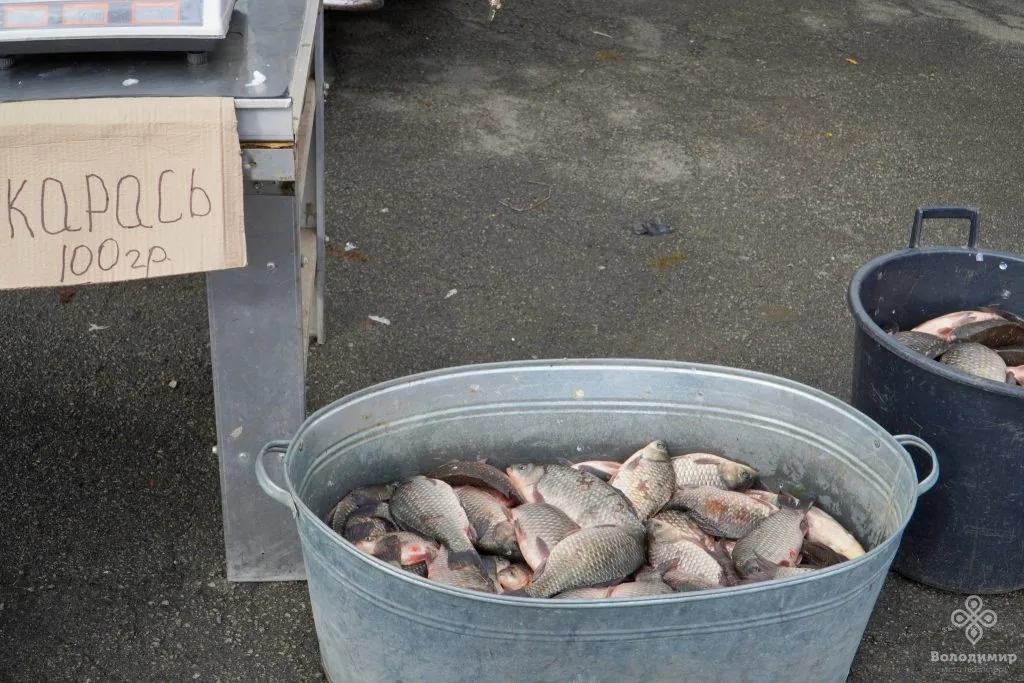 У Володимирі відбувся ярмарок осіннього врожаю 3