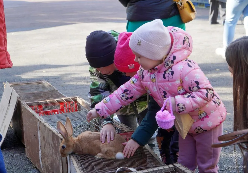 У Володимирі відбувся ярмарок осіннього врожаю 13