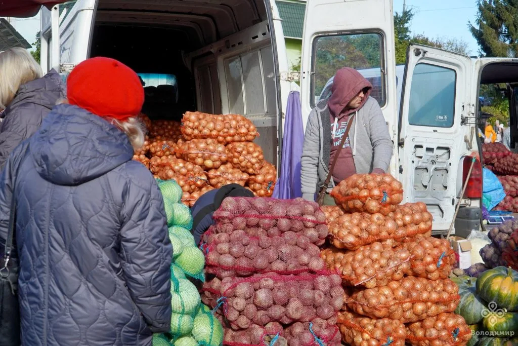 У Володимирі відбувся ярмарок осіннього врожаю 28