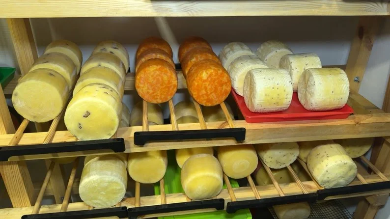 Розпочинали варити в позиченій каструлі: сім'я з Луцького району виготовляє 20 сортів сиру 4