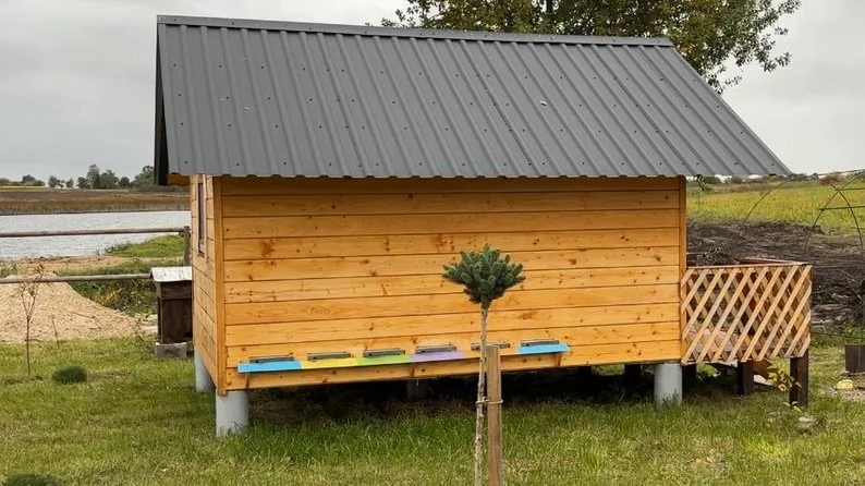 «Думав — капець, нікому не потрібний»: як військовий з Волині після поранення відкрив рекреаційну зону у Зимнівській громаді 4