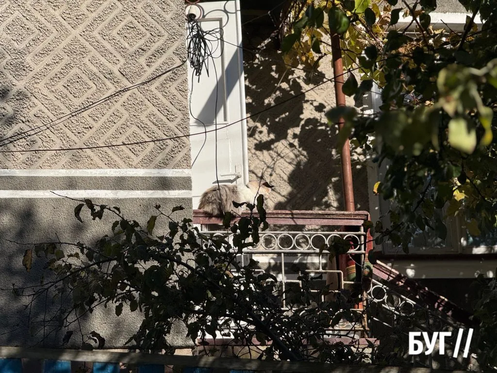 Місто буденне: велосипеди, листя і теплі дні жовтня 5