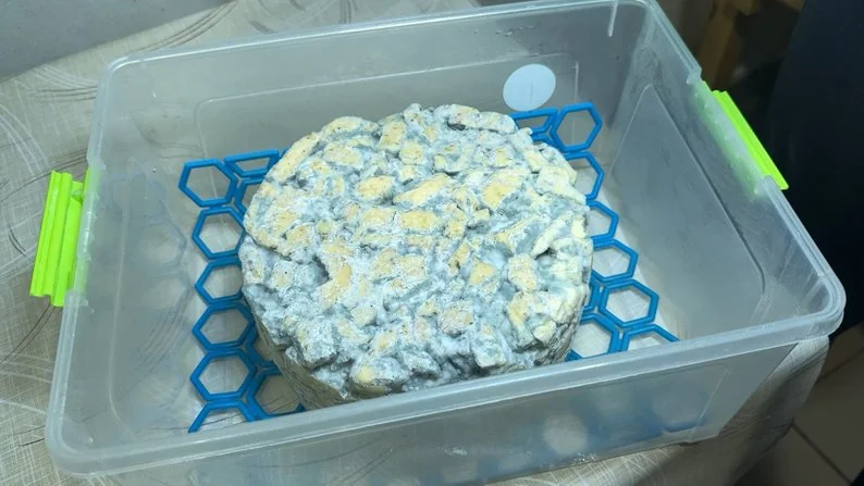 Розпочинали варити в позиченій каструлі: сім'я з Луцького району виготовляє 20 сортів сиру 6