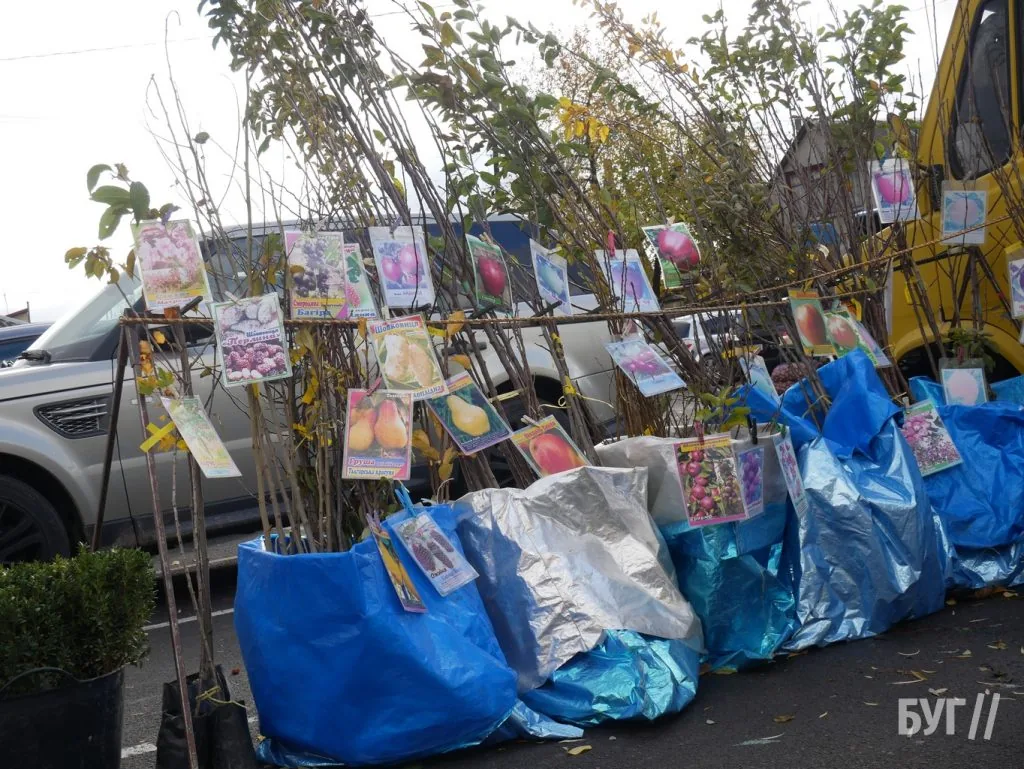 Місто буденне: як живе Володимир восени 1