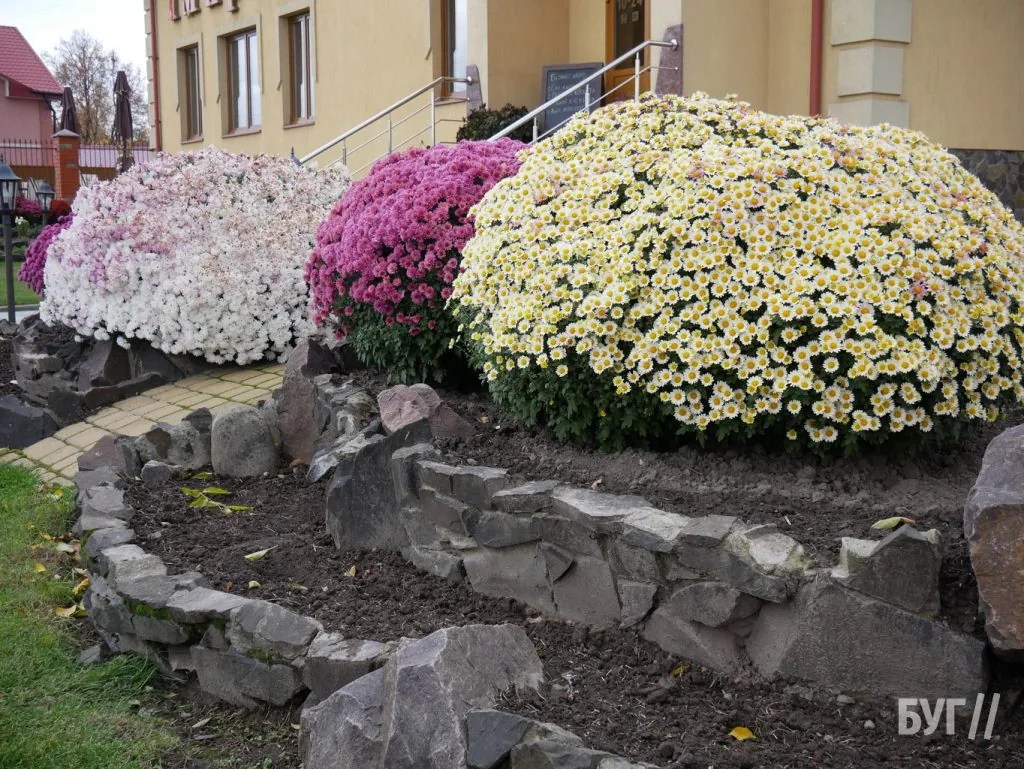 Місто буденне: як живе Володимир восени 19