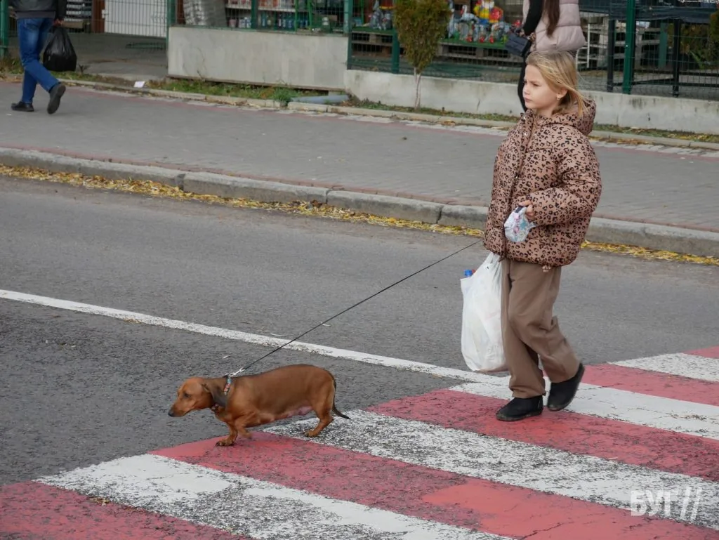 Місто буденне: як живе Володимир восени 28