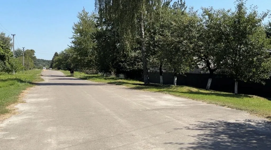 Коли дім пересувають підводою: історія Залужжя Устилузької громади 12